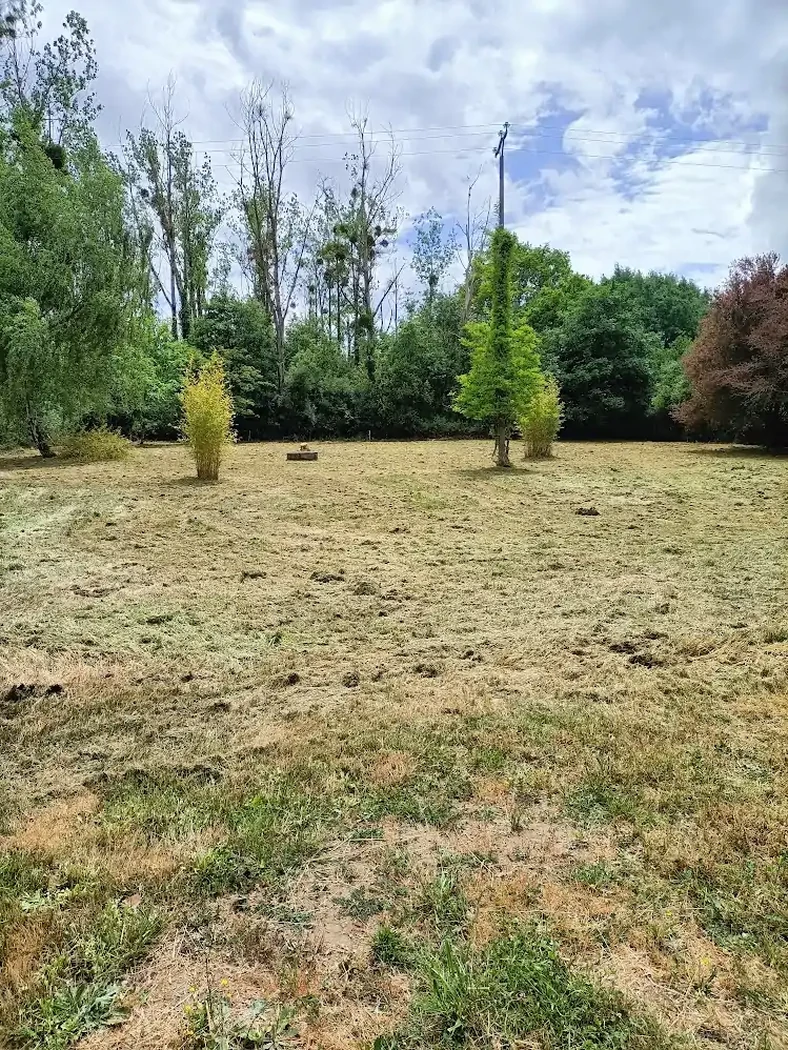 Fauchage d'une parcelle 